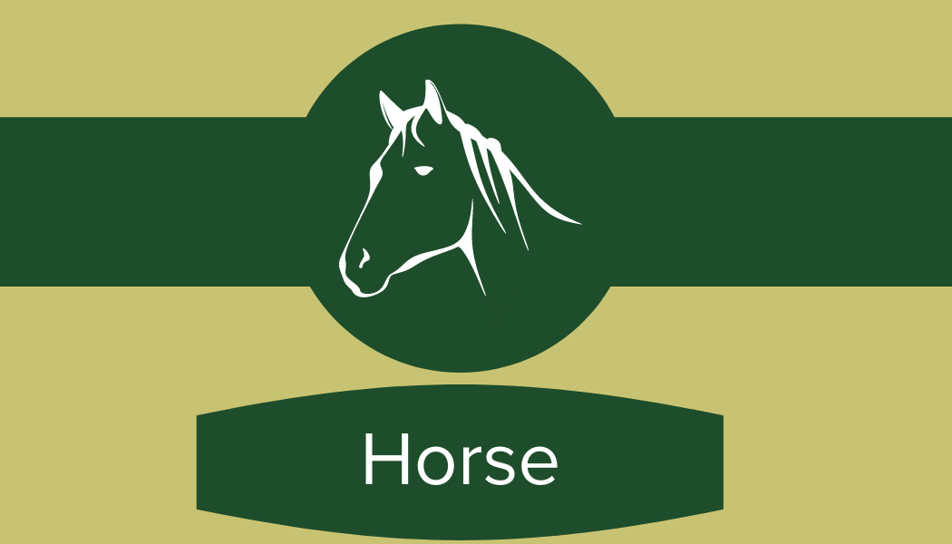 Horse – Chaffee County Extension